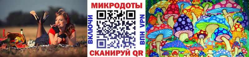 закладки  Медвежьегорск  Псилоцибиновые грибы мухоморы 